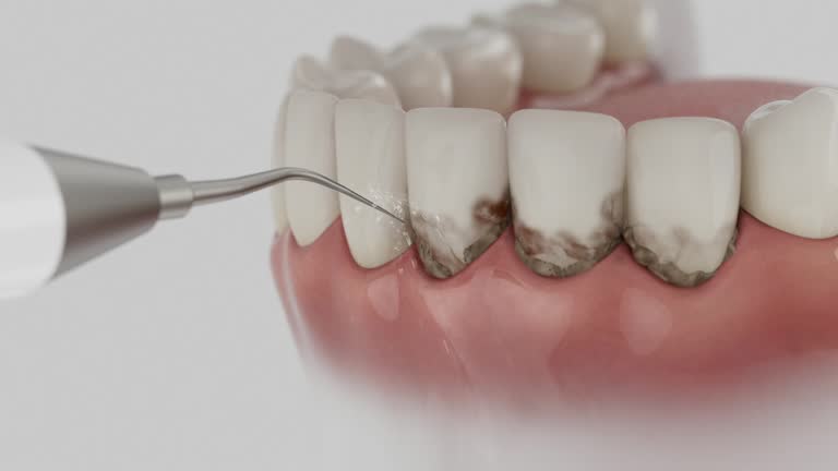 Reliable Dental contractor in Wescosville, PA by Dentist Open Now